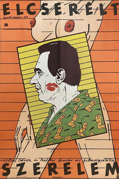 Elcserélt szerelem poster