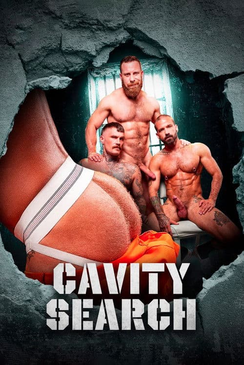 Cavity Search poster