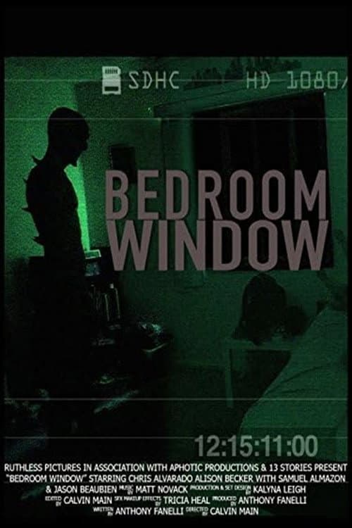 Bedroom Window poster