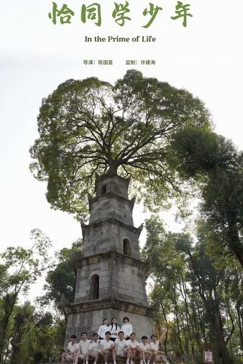 In the Prime of Life poster