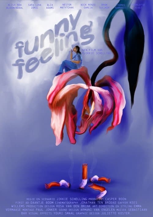 Funny Feeling poster