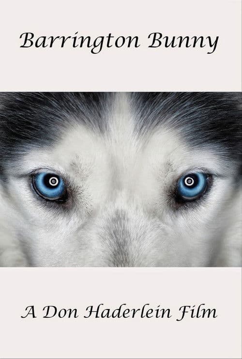 Barrington Bunny poster