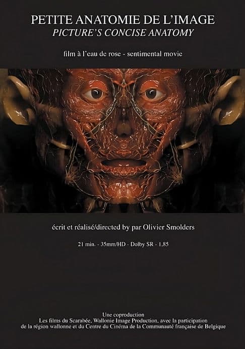 Petite anatomie de l'image