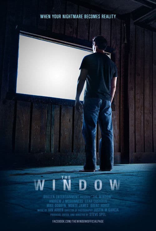 The Window poster