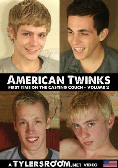 American Twinks 2 poster