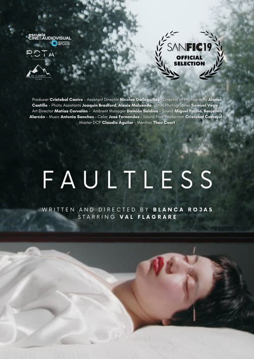 Faultless poster