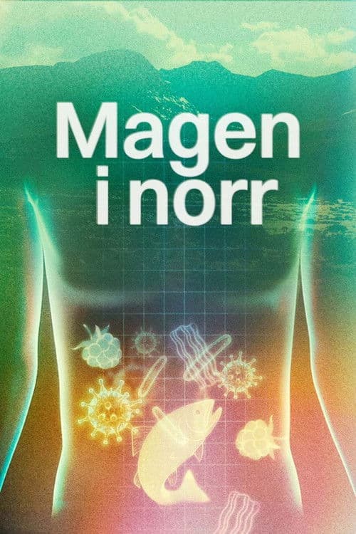 Magen i norr poster