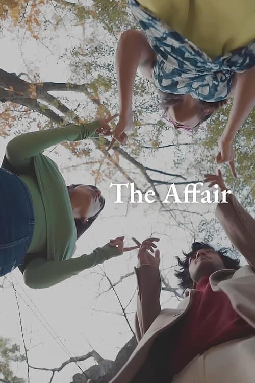 The Affair poster