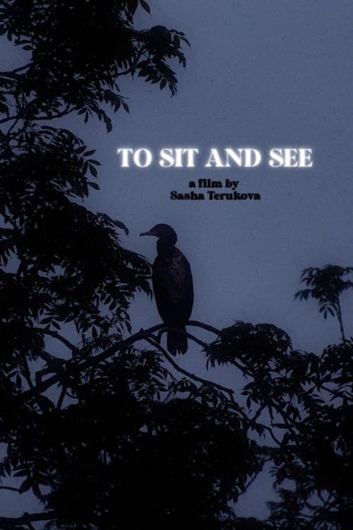 To Sit and See