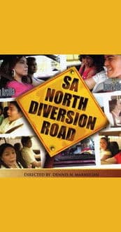 Sa North Diversion Road poster
