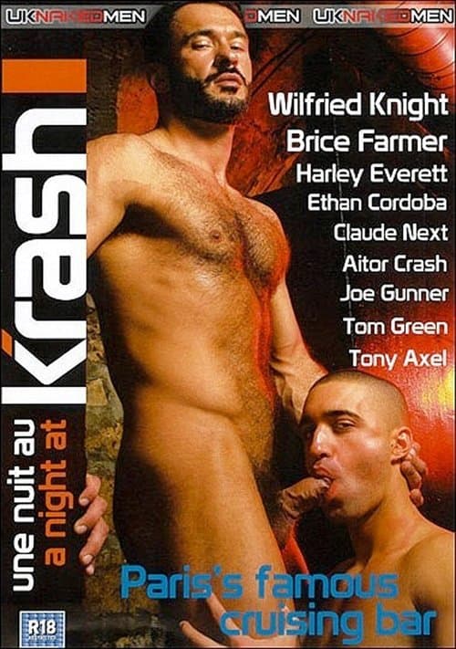 A Night At Krash poster