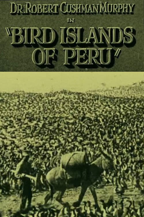 Bird Islands of Peru poster