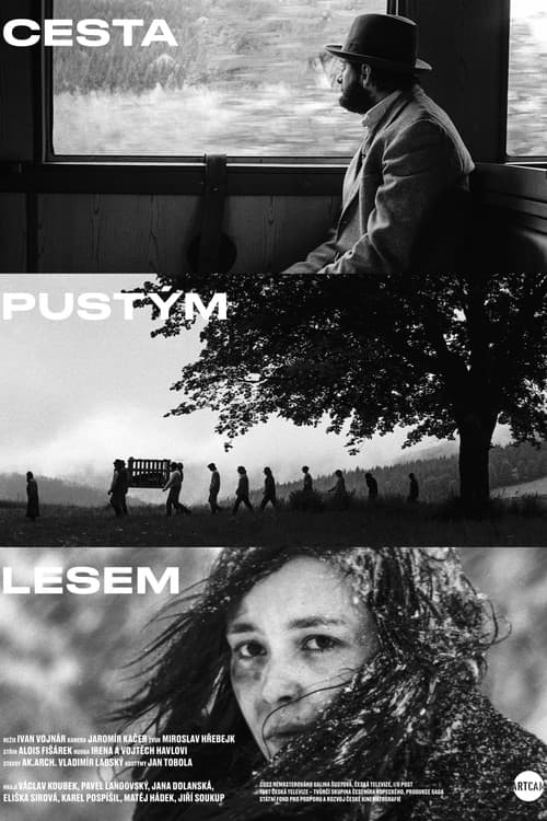 The Way Through the Bleak Woods poster