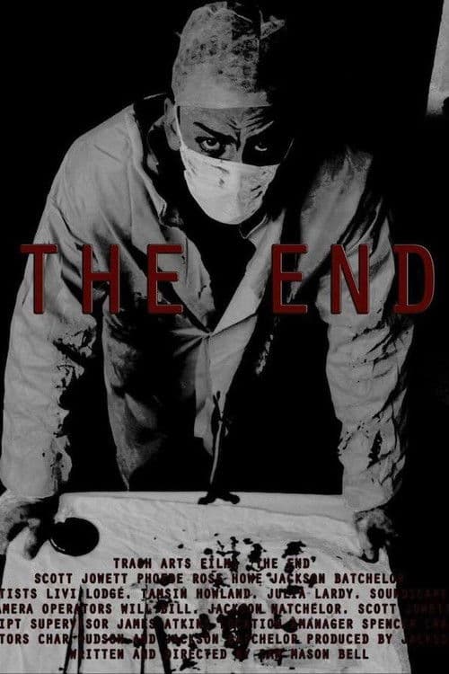The End poster