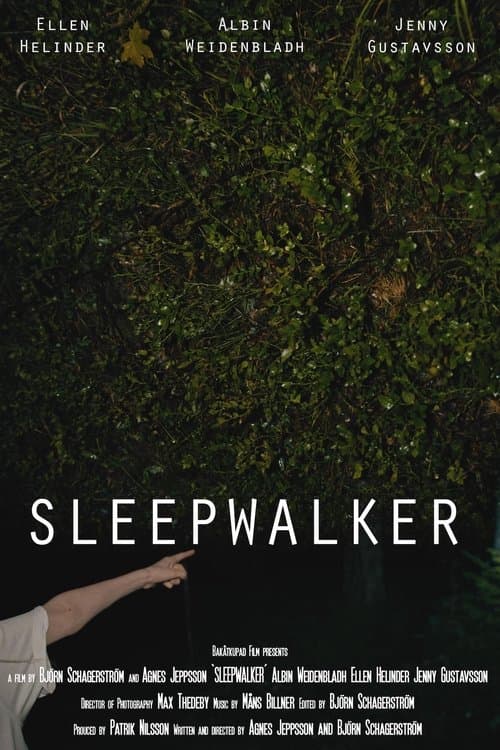 Sleepwalker poster