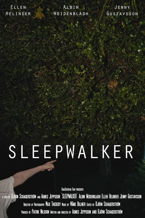 Sleepwalker poster