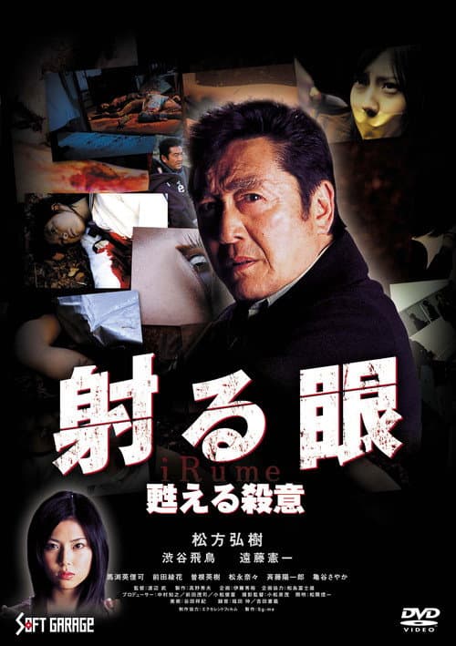 The Piercing Gaze 2: The Resurgent Murderous Intent poster