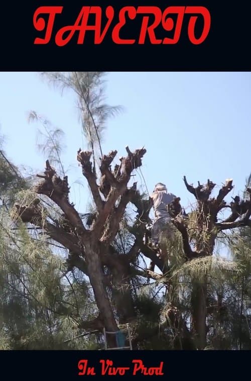 Taverio poster