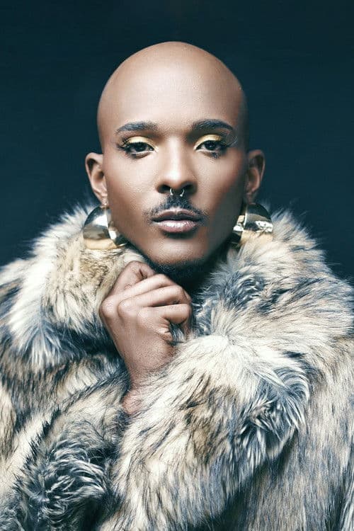 Noam Sinseau profile photo