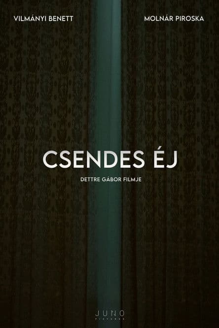 Csendes éj poster