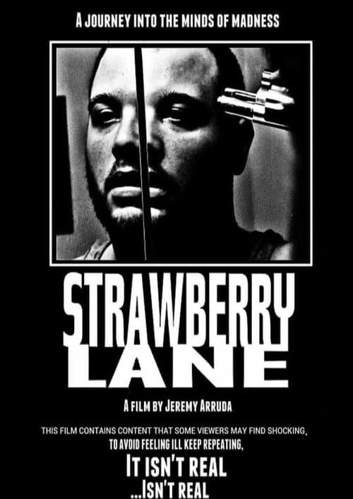 Strawberry Lane poster