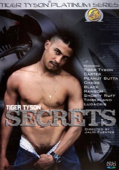 Tiger Tyson Secrets poster