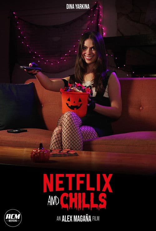 Netflix and Chills poster