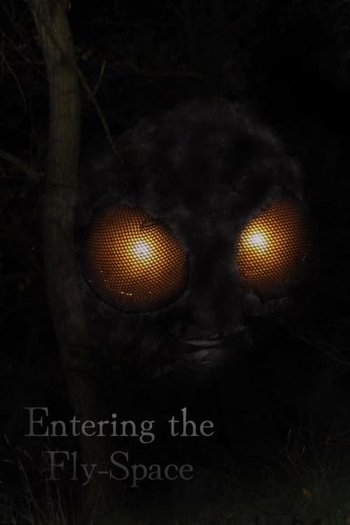 Entering the Fly-Space poster