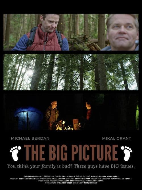 The Big Picture poster