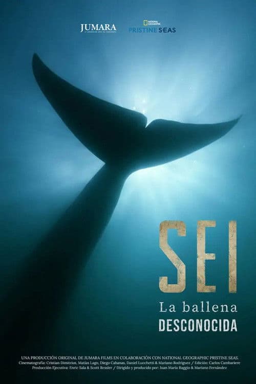 Sei La Ballena Desconocida poster
