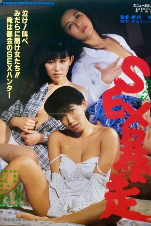 Sex bôsô poster