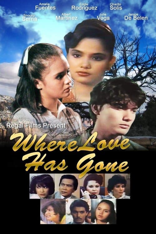 Where Love Has Gone poster