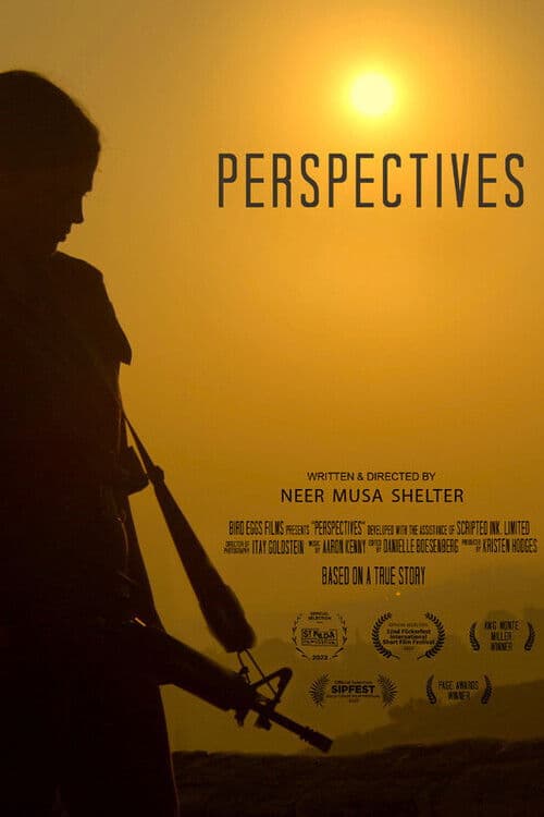 Perspectives poster