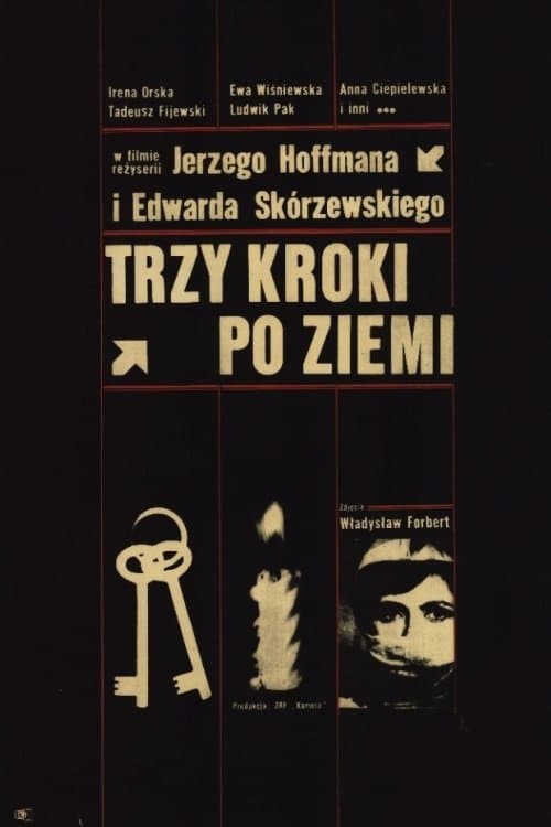 Trzy kroki po ziemi poster