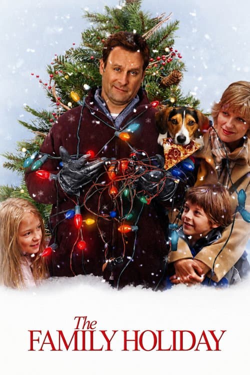 The Family Holiday poster