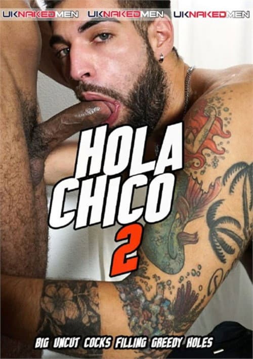 Hola Chico 2 poster