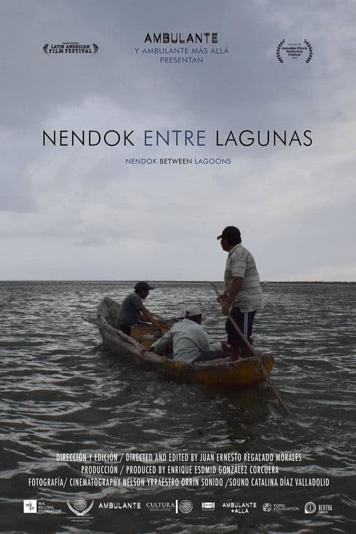 Nendok entre lagunas poster