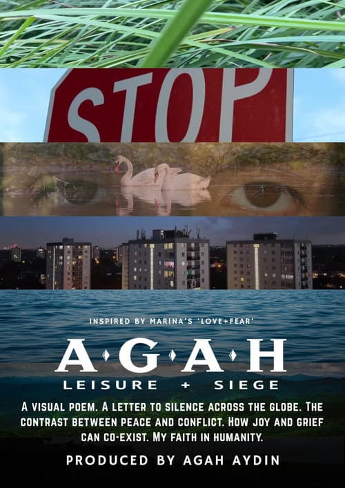 Leisure + Siege poster