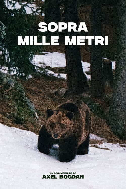 Sopra Mille Metri poster