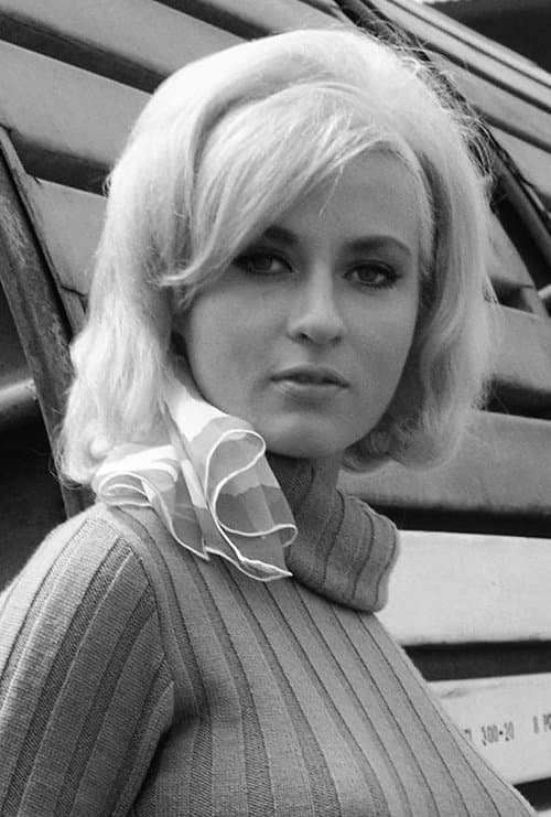 Lee Meredith profile photo