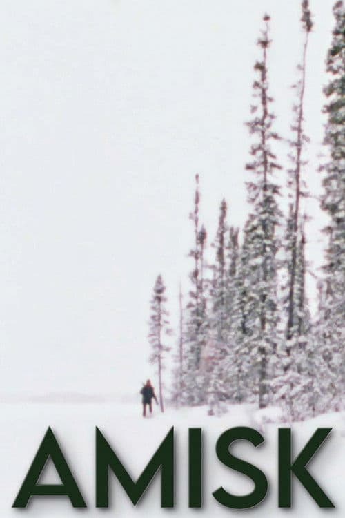 Amisk poster