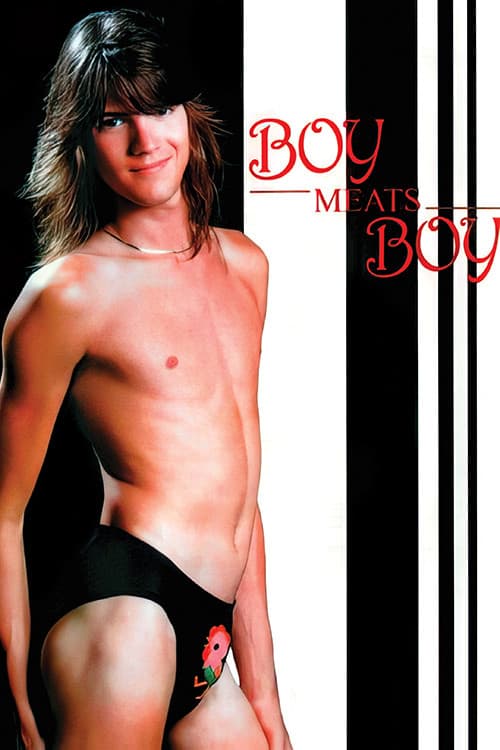 Boy Meats Boy poster