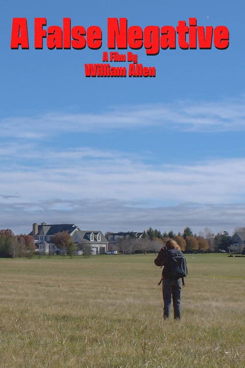 A False Negative poster
