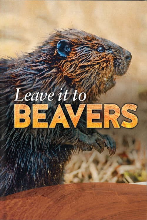 Leave it to Beavers poster