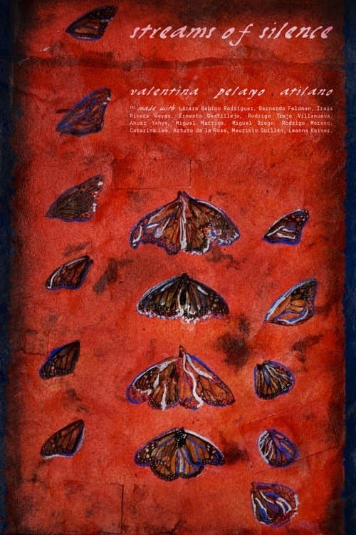 Streams of Silence poster