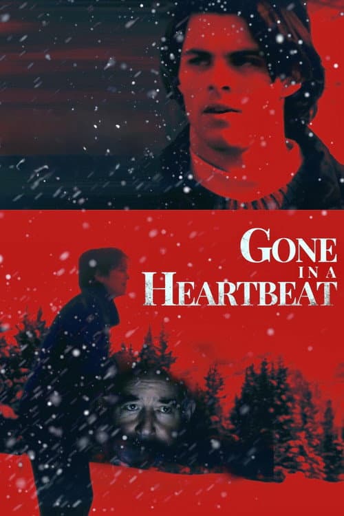 Gone in a Heartbeat poster