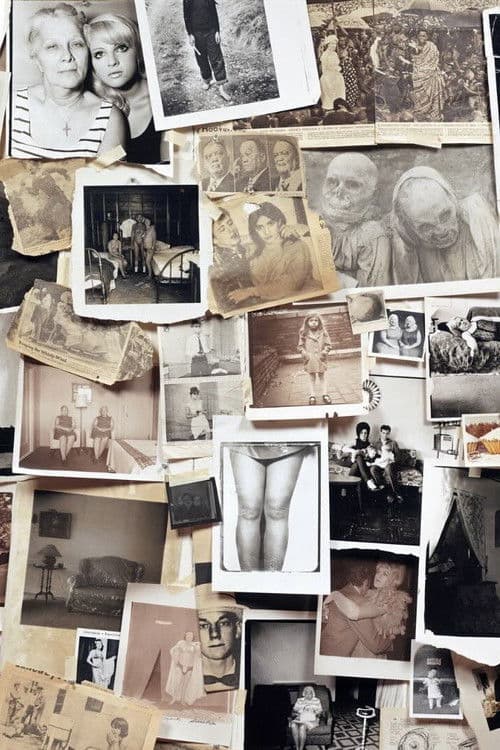 A Slide Show and Talk by Diane Arbus poster