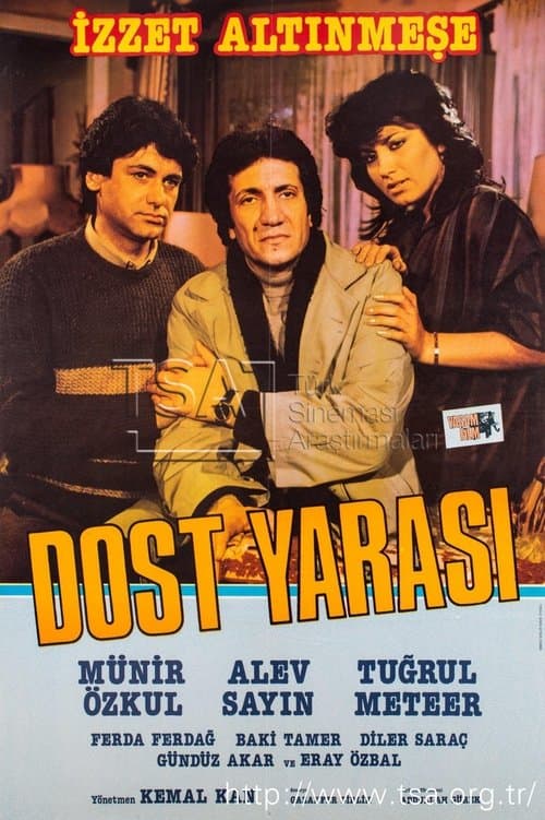 Dost Yarası poster