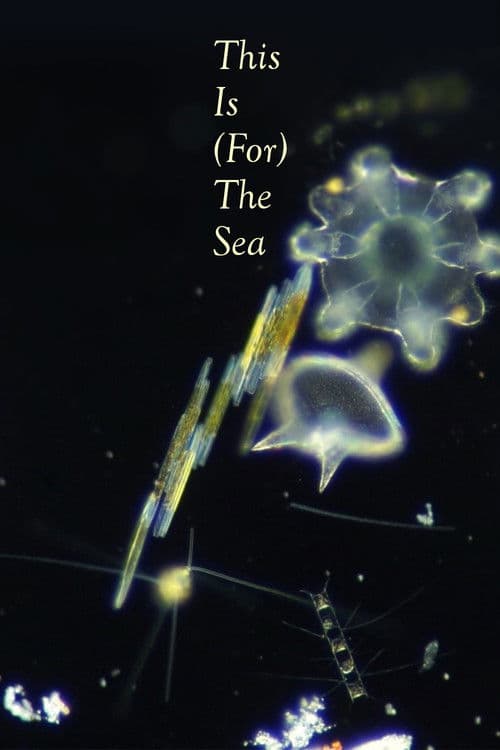 This Is (for) the Sea