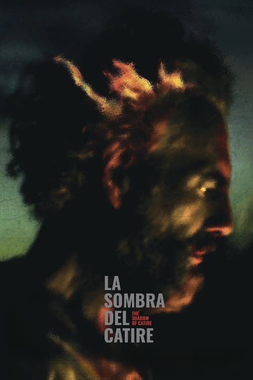 La sombra del Catire poster